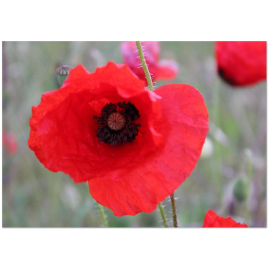 f92e06cb-e5db-43ab-a949-d4f7e722da4f